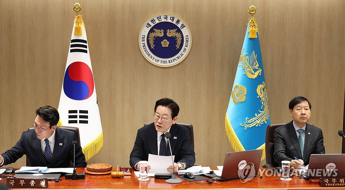 이재명 대통령, 국무회의 발언