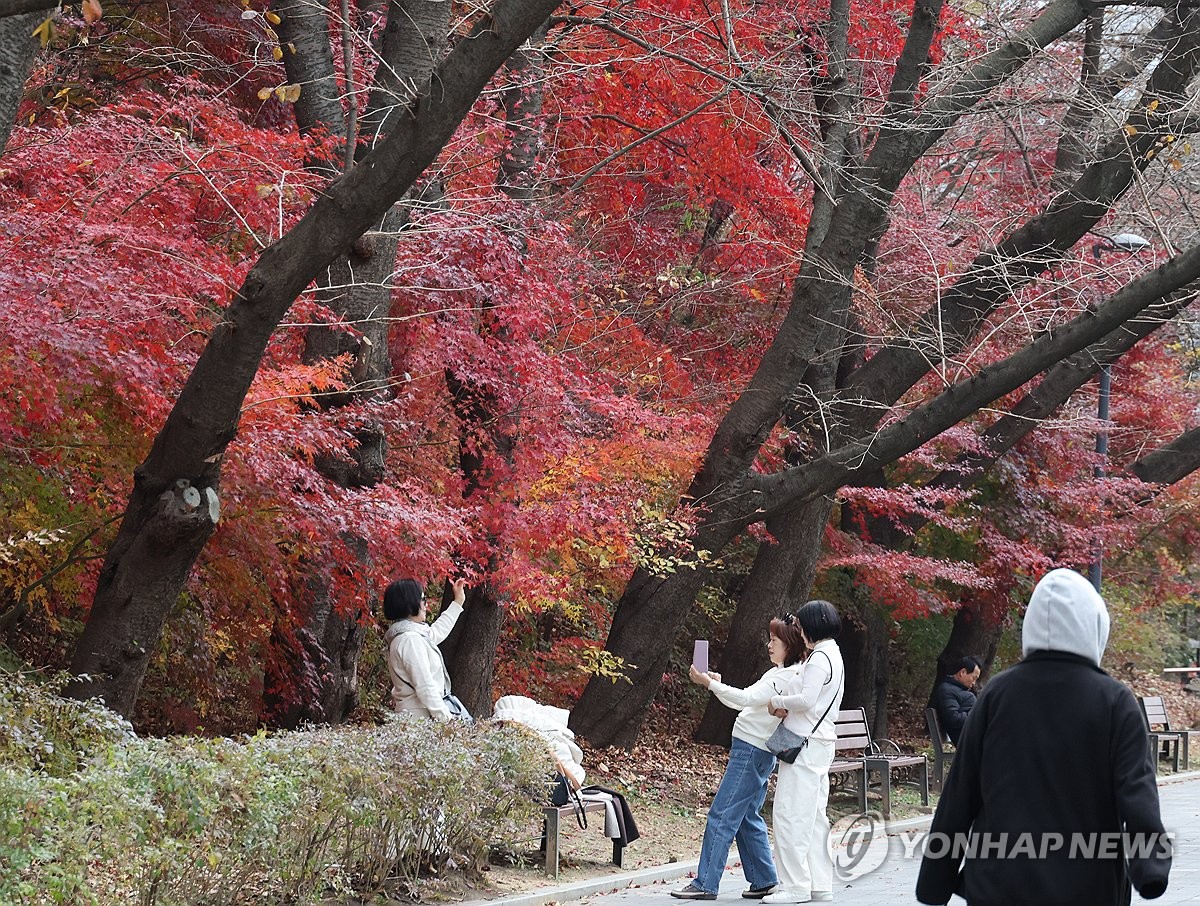 외투는 잠시 벗어두고