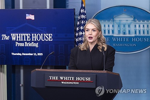 브리핑하는 레빗 대변인