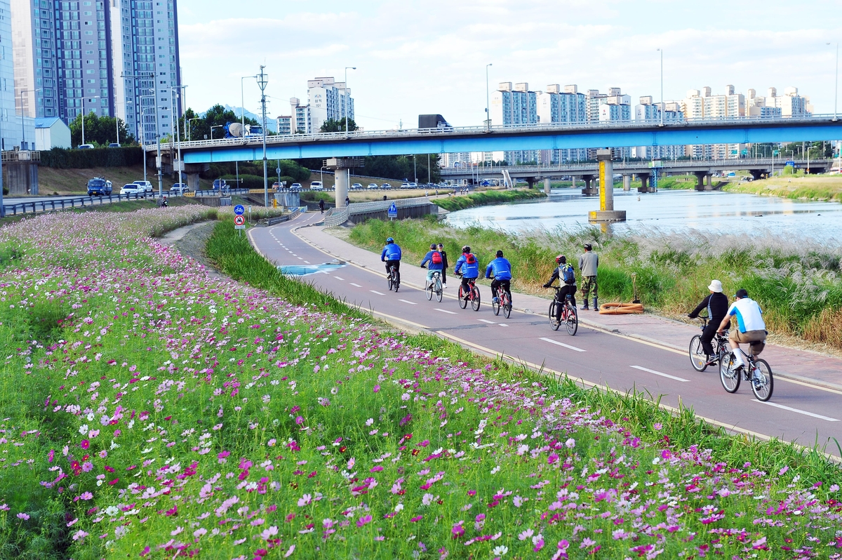 "동대문구민이면 자동 가입"…집 밖 사고 의료비부터 통학버스 부상까지 보장