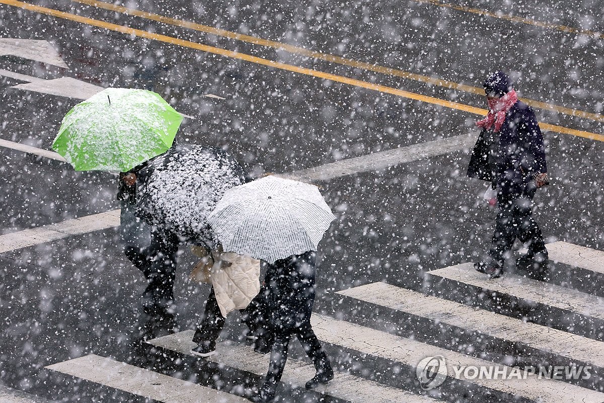 추위 속 함박눈