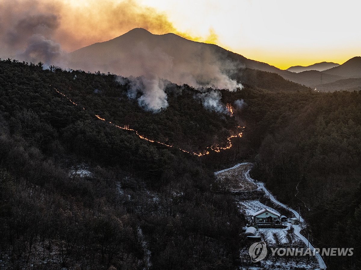 눈이 막아낸 산불