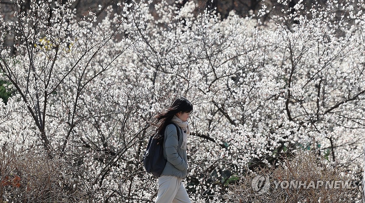 꽃샘추위 찾아온 봄날